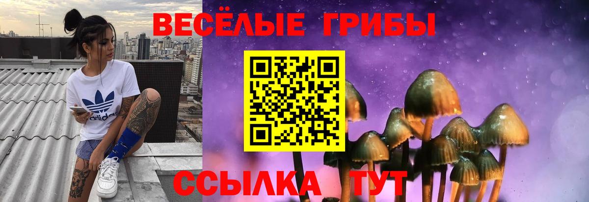 Галлюциногенные грибы Magic Shrooms  Псилоцибиновые грибы ЛСД  Вход с VPN  Большой Камень 